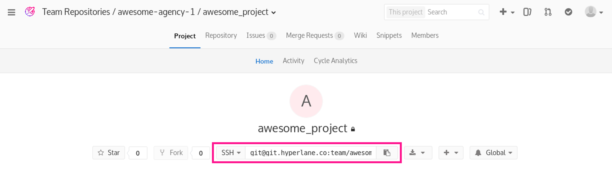 Hosting_gitlabclone.png